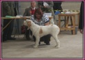 07-10-11 Nora SWKA